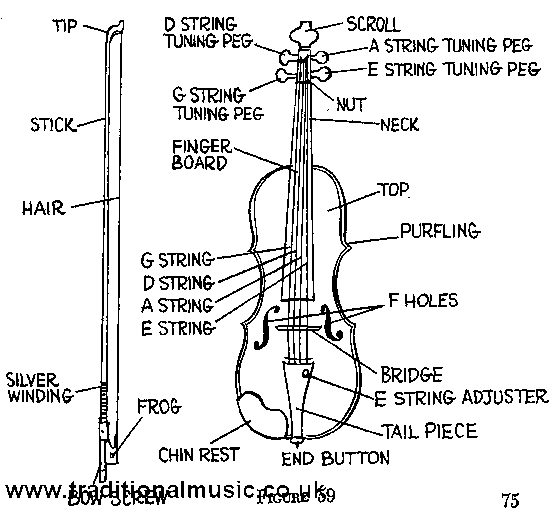VIOLIN parts named